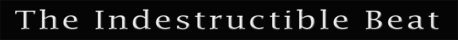 The Indestructible Beat banner image
